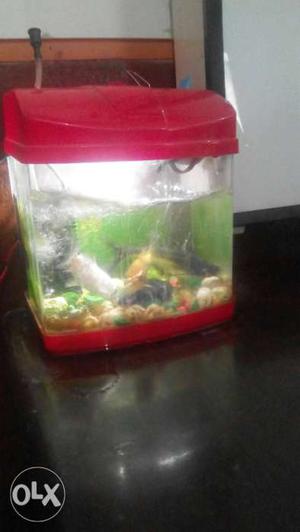 Mini betta tank for office table 2 5litr with