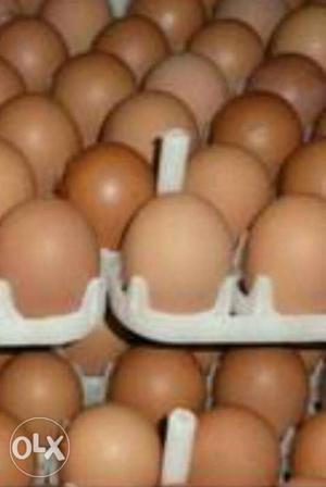 Organic Eggs available