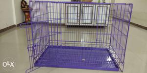 Purple Steel Collapsible Pet Crate