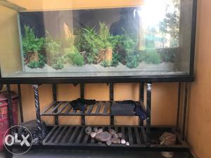 Rectangular Brown-frame Fish Tank