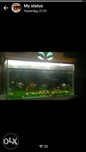 This place all type fishtank available