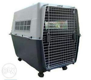 Traveling cages for dogs