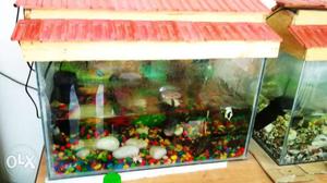 Two Fish tanks with set for sale