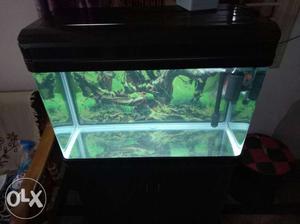  tank for sale brand new only only offer