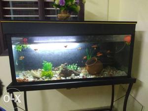 3.5 ft 8mm aquarium tank with stand, filter and