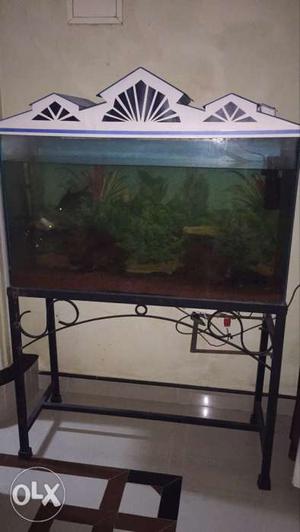 3.5*2 ft aquarium with stand and all accesories.