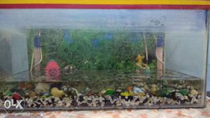Abandoned aquarium up for sale with all pebbles