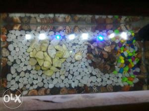 Aquarium stones available for 300 rs reasonable