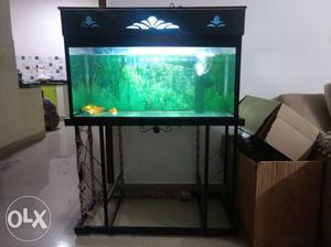 Aquarium with iron stand, motor and lights