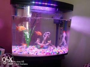 Brand new fish tank for sale with fountain pump
