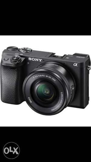 Buy A New Or Second Hand Sony A Or Canon 200D