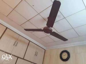 Crompton greaves selling fan brown coluor brand