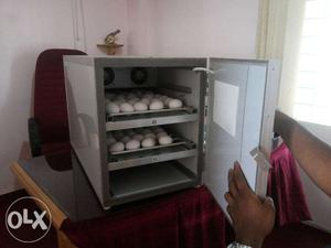 Eggs incubators with 1 to 3 yr whole system warranty