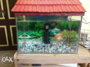 Fish Aquarium in good condition with Air