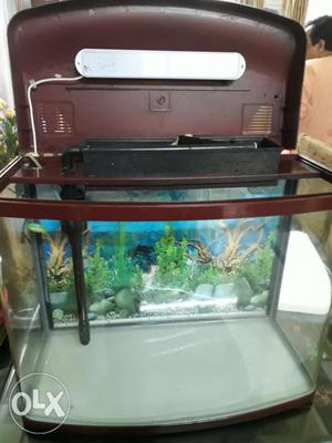 Fish aquarium with LED lights and in built filter