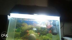 Fish tank 2nd half foot with flowerhorn