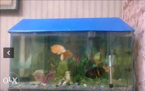 Fish tank aquiruam 2 fit only 3 days old new