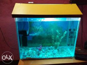 Fish tank with all accessories 2 feet by 1.5 feet