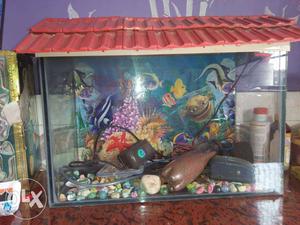 Fish tank with all accessories fish food stone