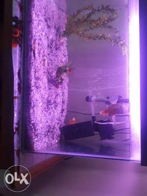 Fish tank with light power filter heater etc