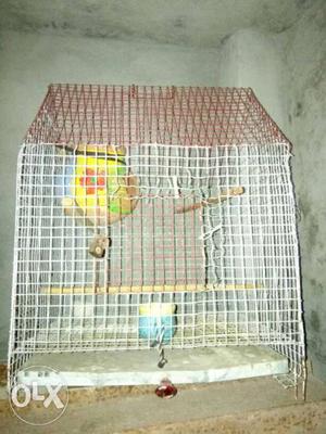 Gray And Red Wire Bird Cage
