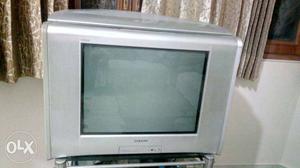 Gray Sony 21 CRT Widescreen Television