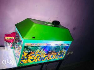 I want to sell my fish aquraium only 3 month old