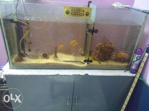 Moving out we have 3.5 feet aquarium tank with