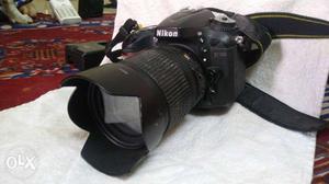 Nikon DSLR D On rent just Rs.600