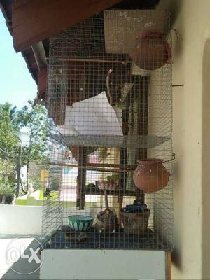 Pet Cage for sale