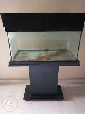 Rectangular Black Framed Aquarium Tank With Stand