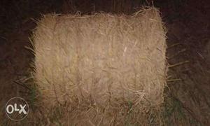 Round Hay In Thrissur  one