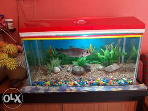 The fish aquarium is in very good condition and