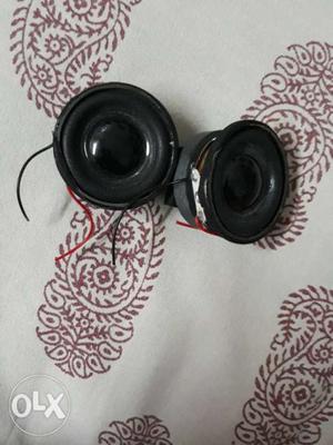 Two Black Speakers