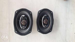 Two Oval Black Coaxial Speakers