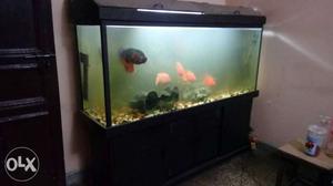 Very beautiful 6 ft wooden tank for sale. 6f X 1.5f X 2.5f