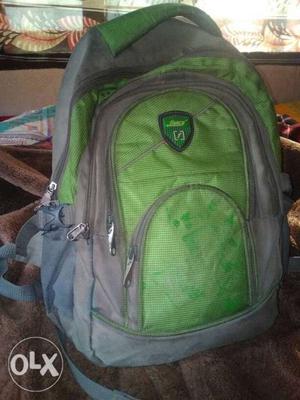 Gray And Green Backpack