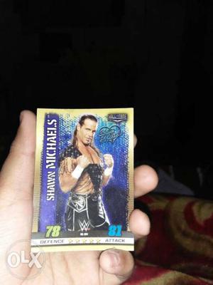 Shaw Michaels Wrestling Trading Card