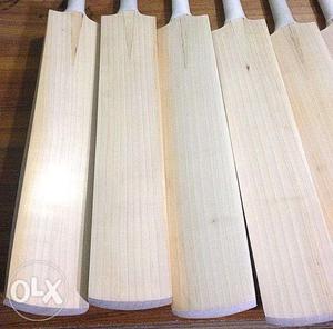 English willow one bat