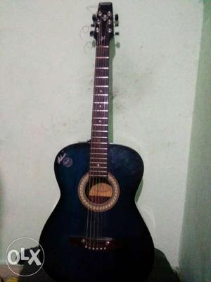 Holmeer blue Acoustic Guitar