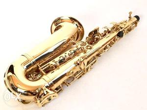 New Saxophone Minerva (Japan) for Rs.