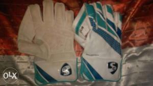 Pair Of Blue-and-white Gloves