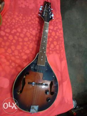Semi electric mandolin for sell good and working