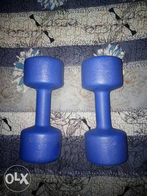 Two Blue Fix-weight Dumbbells