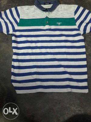 White, Green, And Blue Striped Polo Shirt