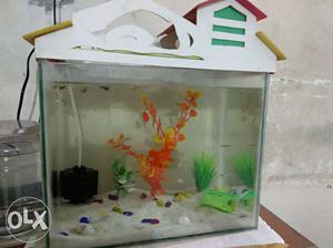1.25 ft fish aquarium new quality with filter,