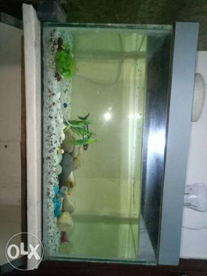 2 fish one aquarium for sale lenghth 2ft breat 1feet