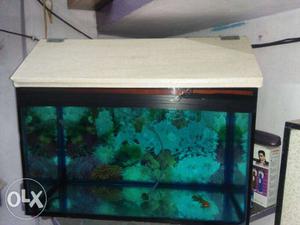 2fit fish tank and chhprea sell sell sell super