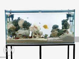 3 feet aquarium tank with wooden stand I bought