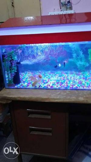 3 feet long aquarium with every accessories and
